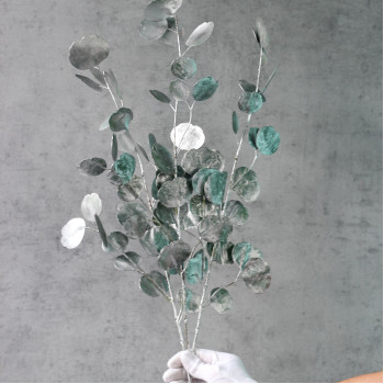 Евкаліпт Real Green/silver