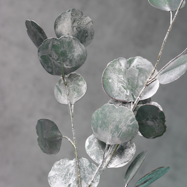 Евкаліпт Real Green/silver