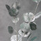 Евкаліпт Real Green/silver