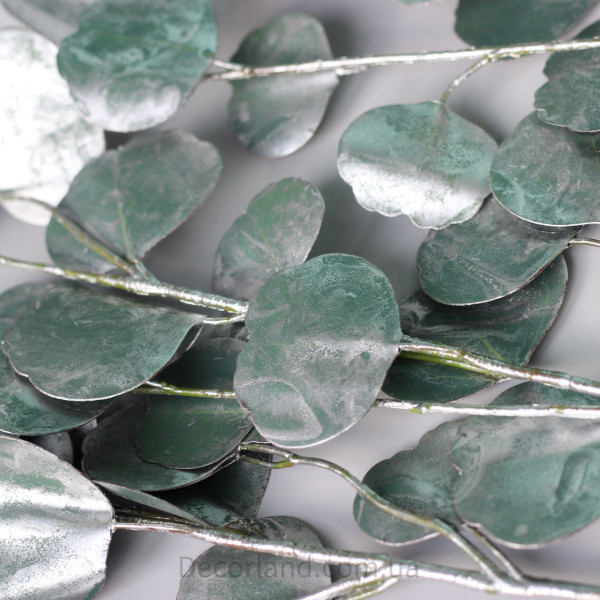 Евкаліпт Real Green/silver