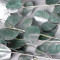 Евкаліпт Real Green/silver