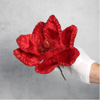 Магнолія червоний оксамит