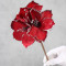 Амариліс на стеблі червоний
