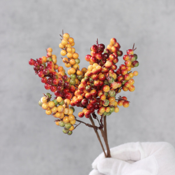 Гілка ягід багряних