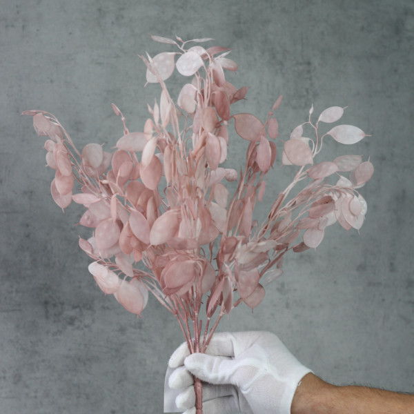 Лунарія в букеті mauve