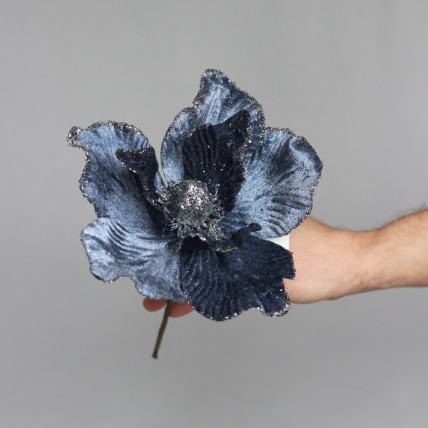 Магнолія благородного синього кольору