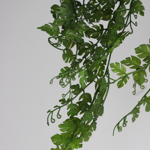 Зелень ампельна В677