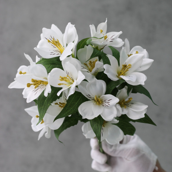 Альстромерія біла