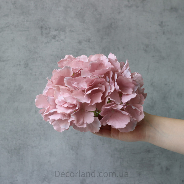 Гортензія кольору mauve 24 см