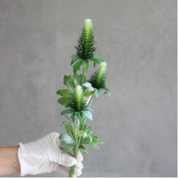 Будячки зелено-білі