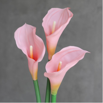 Калла латексна baby pink