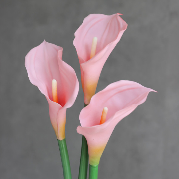 Калла латексна baby pink