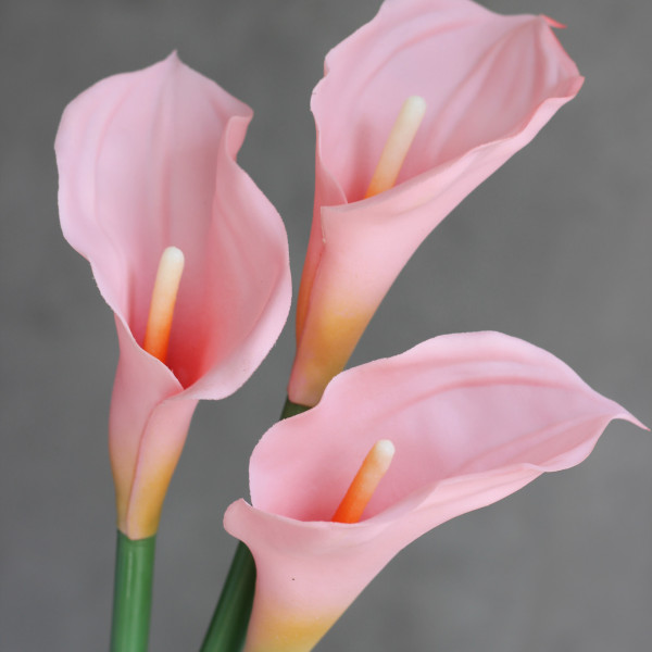 Калла латексна baby pink