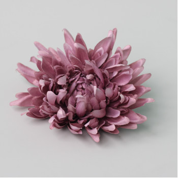 Хризантема кольору mauve 