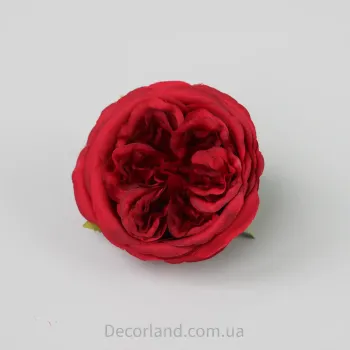 Троянда Девіда остіна червона
