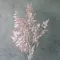 Зелень №80053 нюдова