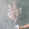 Зелень №80053 нюдова
