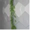 Гірлянда Рускуса латексна