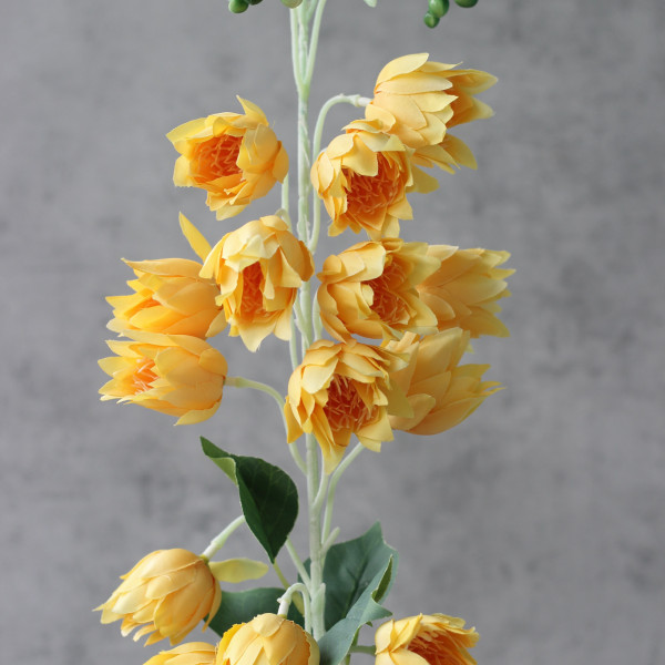 Юка жовта